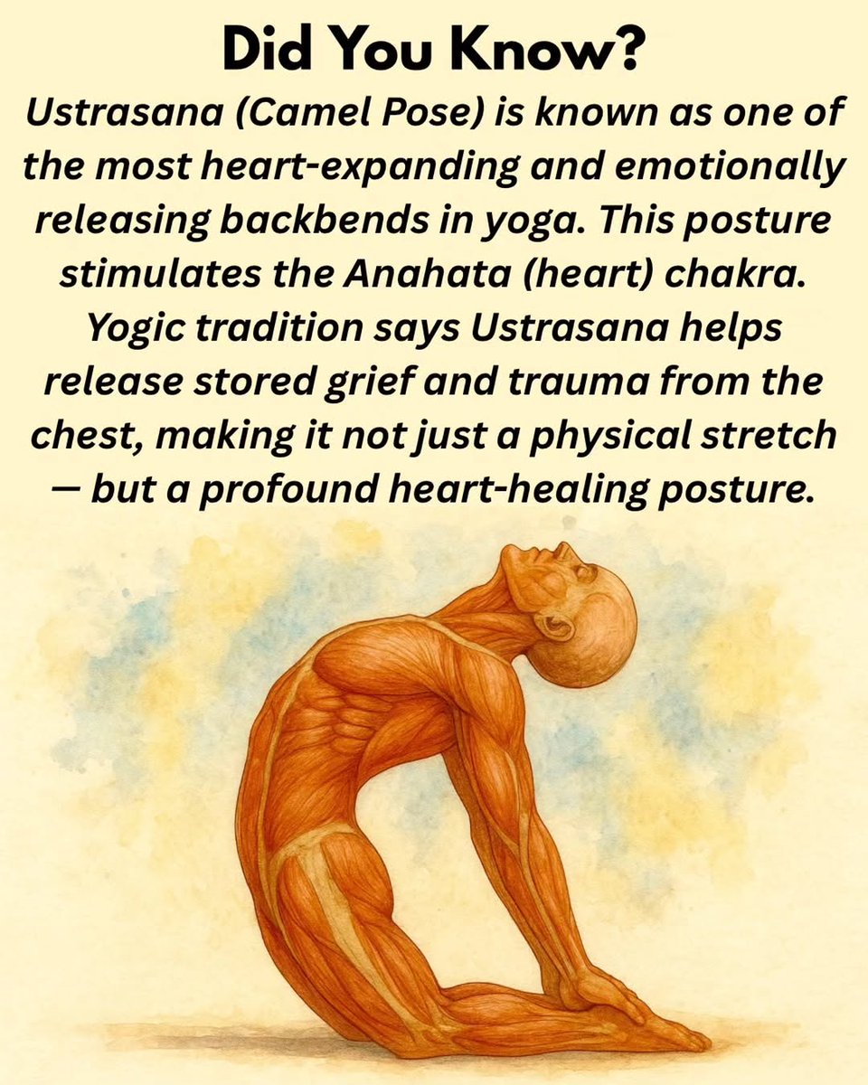 Bharatapan's tweet image. उष्ट्रासन | Camel Pose

A back-bending yoga pose that opens the heart chakra, improves digestion, stretches the front of the body, and strengthens the back and shoulders.

#Ushtrasna
#CamelPose
#Yoga
#Yogasana
#YogaForAll
#YogaDaily
#YogaForLife
#FitYoga
#Mindfulness
#Wellness