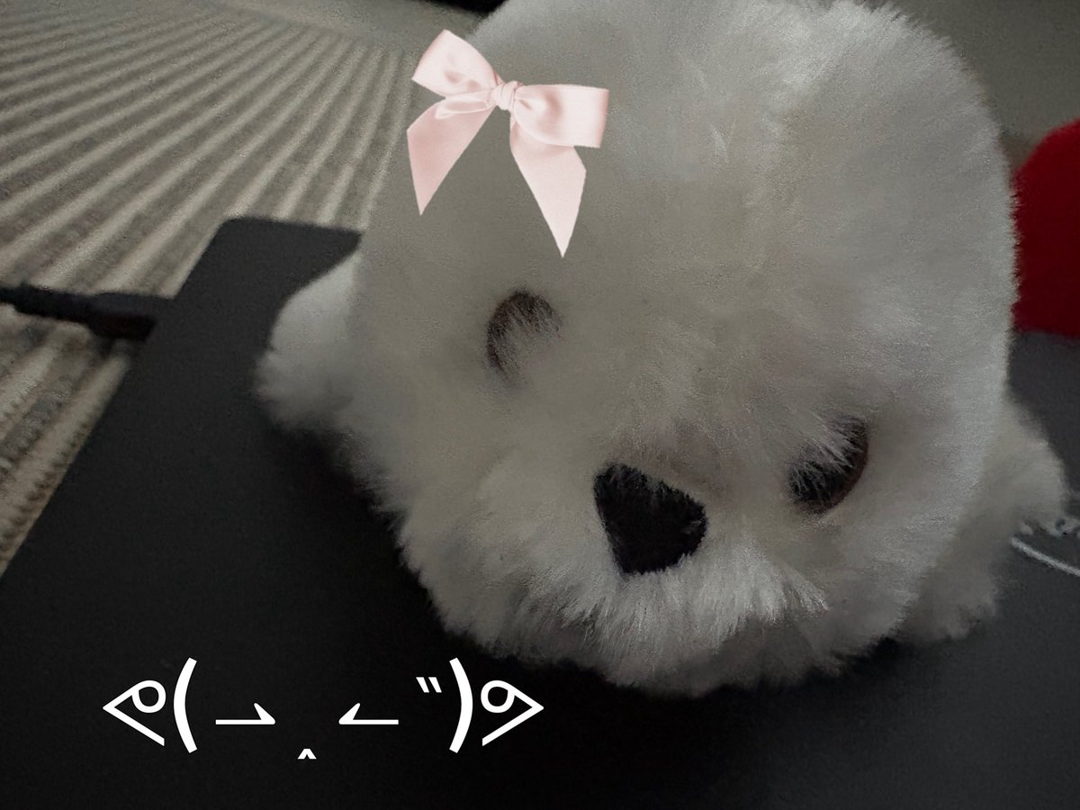 muffinsweetest's tweet image. My cutest cream puff is ready for the day!! Everyone cheer for her!! ( ⸍ɞ̴̶̷ ·̫ ɞ̴̶̷⸌ 🫶) #plushie