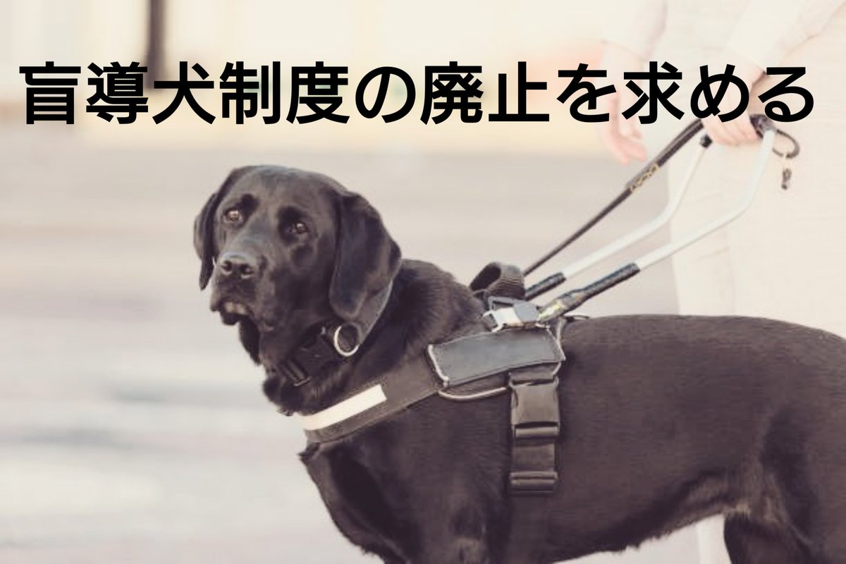 sonnyaonnyanko's tweet image. 盲導犬に賛成がいるのも仕方ない

だけど 盲導犬反対ポストに絡む人
何故 犬は喜んでる
ほとんどは大切にされ幸せだと
言い切れるんですか？

私は自分家の猫
大切にしてるつもりでも
猫の本当の心情は解らない

何故 使う側の人間が
使われてる犬の心情を
断言出来るんですか？