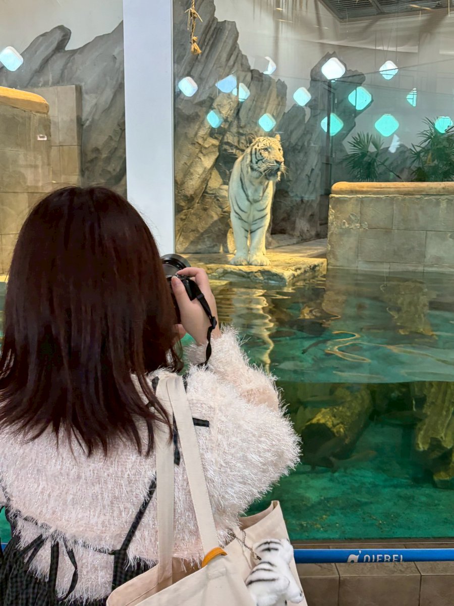 tiger_zoo_c's tweet image. アクアくん一生懸命撮ってる私が撮られてた(念願のツーショットかな！！💙💙💙)