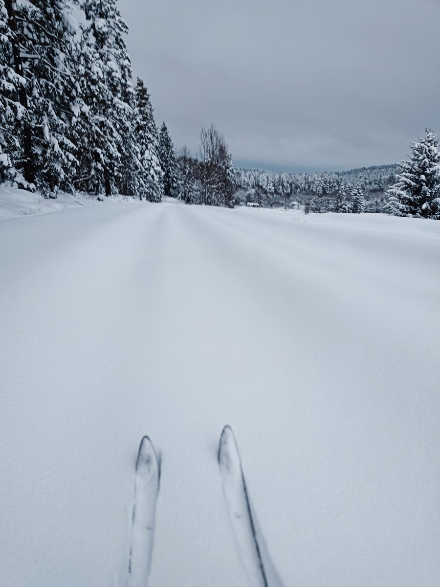 MLiskiewicz's tweet image. Alegria, joy of life!
#Orawa