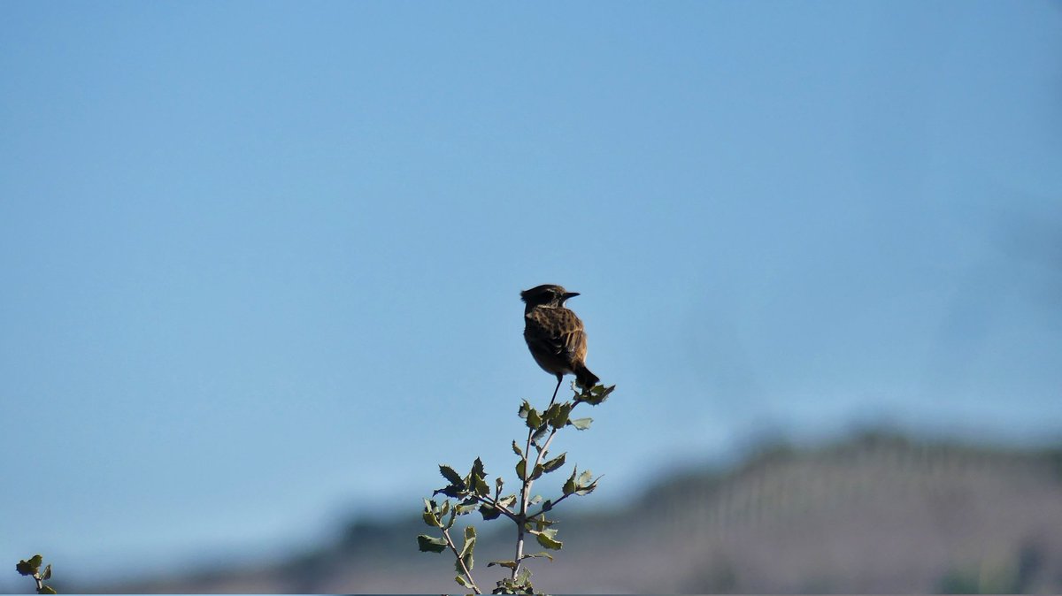 Fotos actuales de la laguna de los tollos 💚

Salir y tener este entorno a solo un paso es increíble. 
#MiSitio❤️ 
Feliz domingo !! 
📷