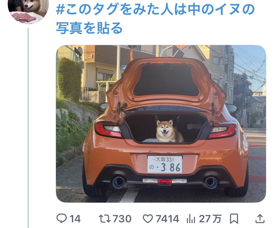 y30c's tweet image. Xに1ヶ月課金してみたんですけど、インプレは増えるけどアフェリで小遣い稼いでるわけでなしツイ修正できるの1時間だけやし認証バッジどやねんて感じで、インプレもイイねも所詮モニグラ〜は犬にも勝てんし課金やめたんですけど、インフルエンサーでないのに課金バッジつけてる人の目的ってなんやろ？