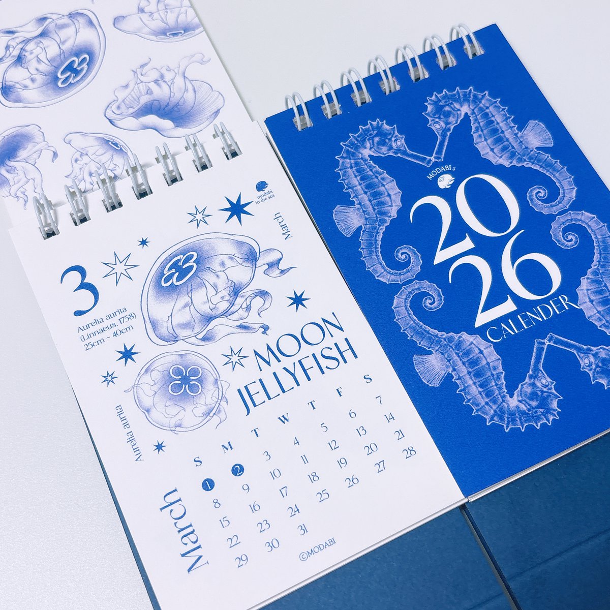 modabi_sea's tweet image. [𝙍𝙏💙]알티+팔로우 추첨 1분  ଳ2026달력ଳ 1개 증정!

⁺ • ˚. *࿐ ⁺ • ˚. *࿐ ⁺ • ˚. *࿐ ⁺ • ˚. *⁺ • ˚. *࿐ ⁺ • ˚. *
🌊𝟐𝟎𝟐𝟔 𝐁𝐥𝐮𝐞 𝐨𝐜𝐞𝐚𝐧 𝐜𝐚𝐥𝐞𝐧𝐝𝐞𝐫&amp;amp;𝐕𝐢𝐧𝐭𝐚𝐠𝐞 𝐰𝐚𝐯𝐞 𝐭𝐚𝐩𝐞🌊
- 서일페 현장수령 및 택배배송 선주문 예약판매
⁺ • ˚. *࿐ ⁺ • ˚. *࿐ ⁺ •…