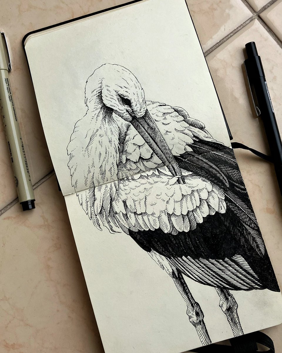 Хочу навчитись красиво та чистенько малювати лайнерами на папері. Водночас задумуюсь, а навіщо? Цей навик фіг монетизуєш - це хіба постери продавати з графічними роботами