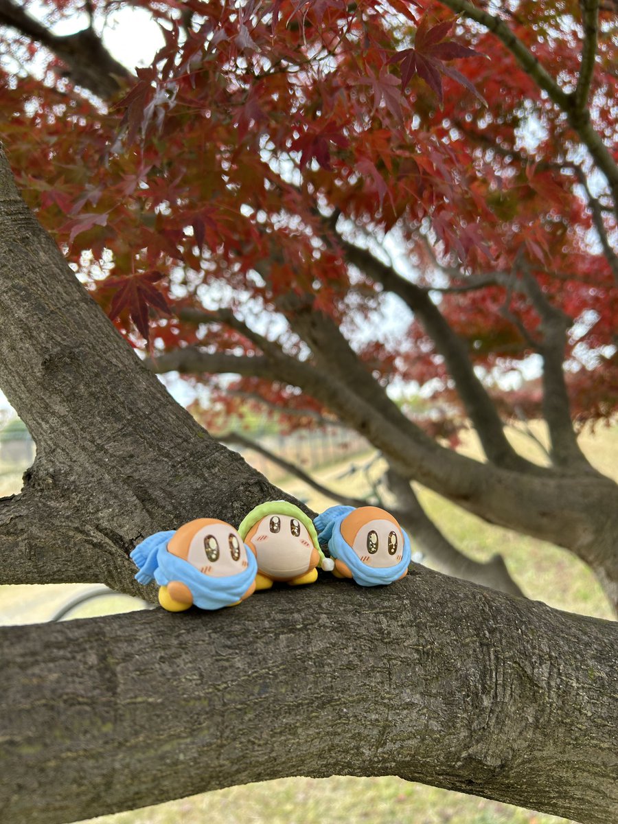 icKw_Em's tweet photo. ガチャで出たのはトリプルディ…
せっかくなので撮影会をしました🍂🍁

#星のカービィ
#ワドルディ https://t.co/1fPLXpYtVv