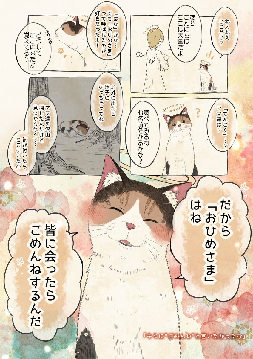 自分の名前を勘違いしている三毛猫まとめ🐾

 #自分の名前を勘違いしている子 
