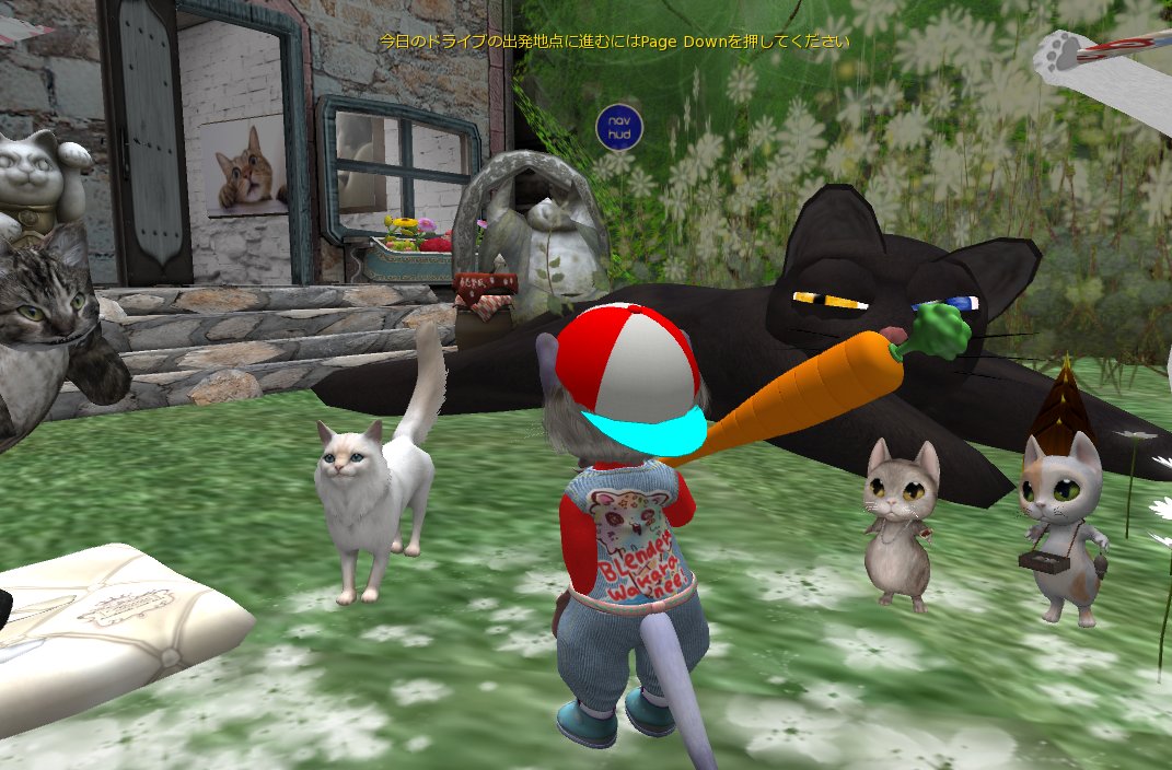 20251122 Nav HUD　🐾🐾

みんな　行ってくるよ～
ディンキーの後ろ姿も　めちゃ好き　ヾ（￣o￣;）ｵｲ