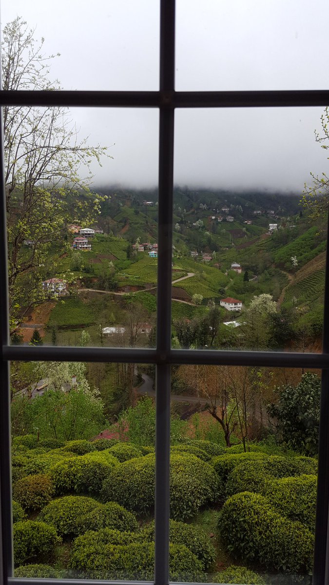 Türkiye’miz 🇹🇷 her güzelliği barındıran nadir ülke. 
🍃 ☕️