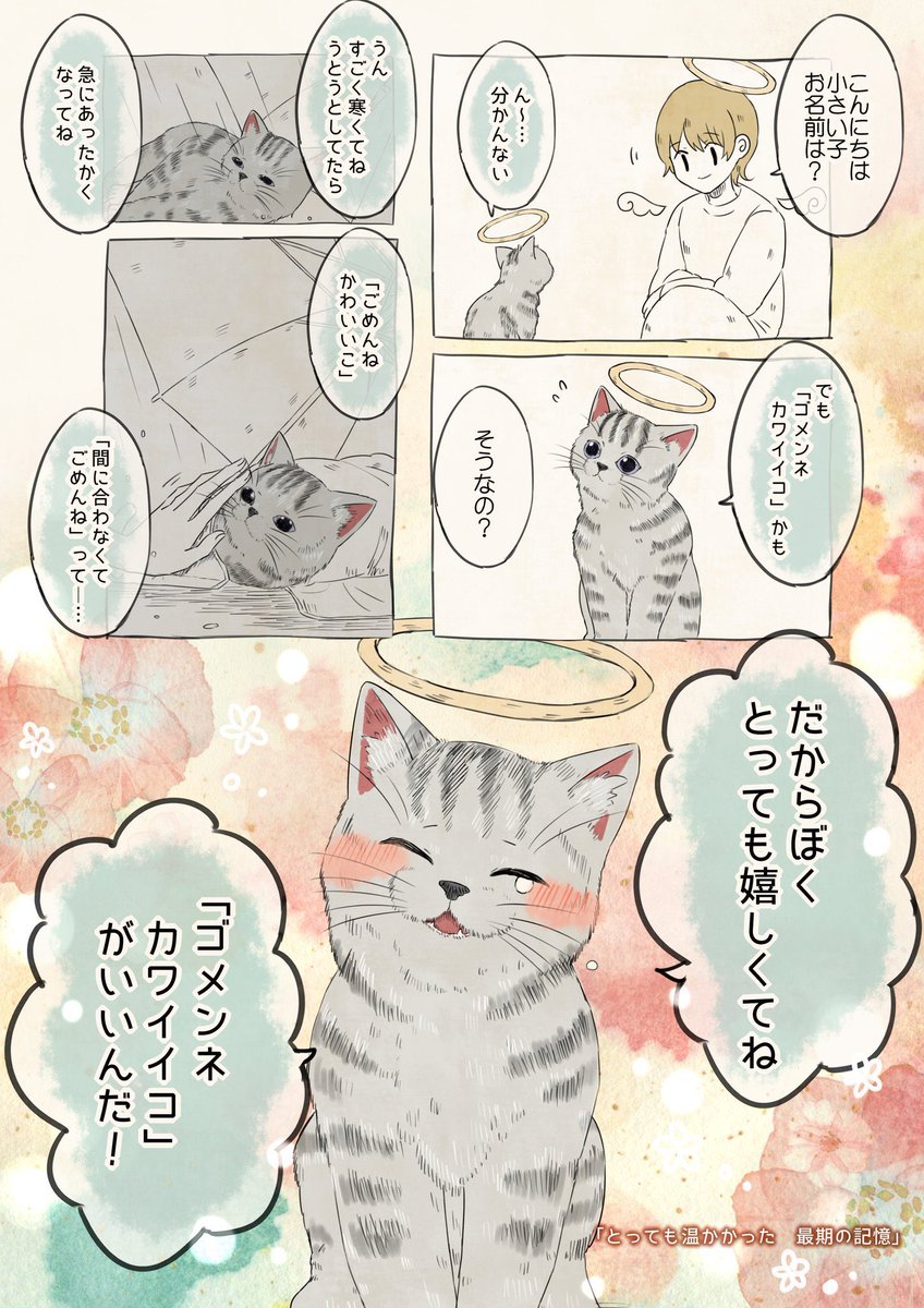 自分の名前を勘違いしている…?子猫
まとめ🐾
 #自分の名前を勘違いしている子 