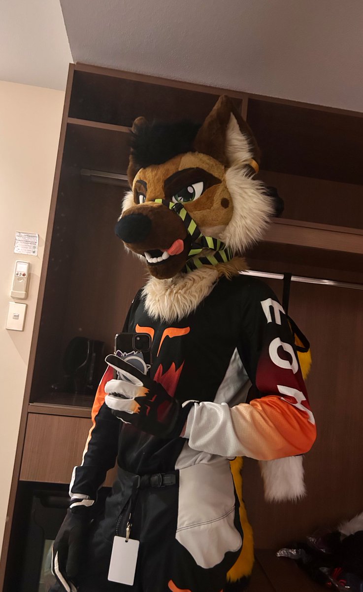 Hugo Shep 🐾 tweet media