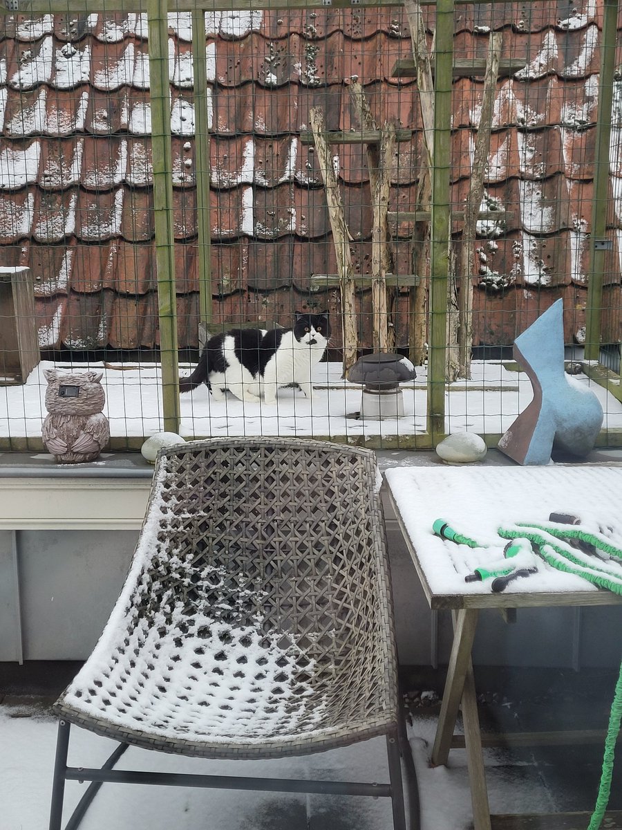 Huh? Wasdat? KOUDE VOETEN!
#Hansje 🧡