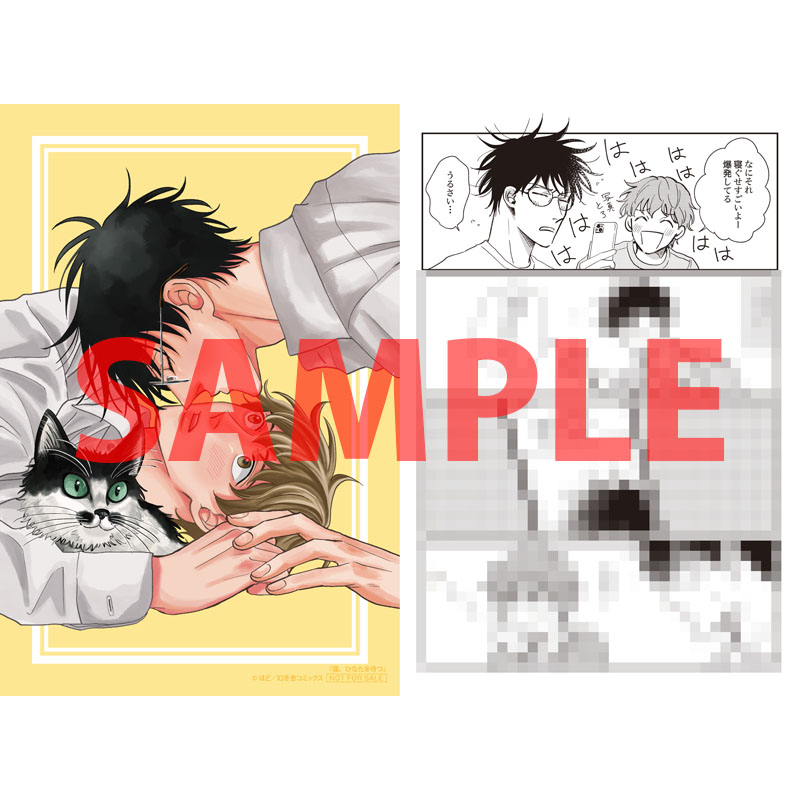 tora_joshibu's tweet image. 【特典情報】
ほど先生（@nonoharahodo）新刊💖『猫、ひなたを待つ』は好評発売中❣️

とらのあな特典🐯は描き下ろし入り両面イラストカード✨
サンプルはこちらです！
裏面は描き下ろし漫画💖ひどい寝ぐせなのに…☺️

ご予約・ご購入はこちらから
▶️ecs.toranoana.jp/joshi/ec/item/…