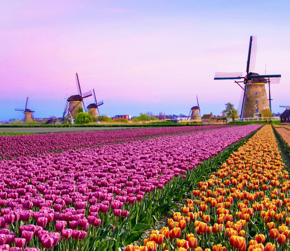 BinarydataTest's tweet image. 少し疲れたかもから掃除しよ〜して気分変えよ 📚