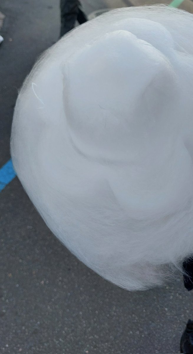 blobeye_wrx_2D's tweet image. ネオシルバニア王国1番好きかもしれん

と、その後食べた割とデカいわたあめ( ˘꒳​˘)