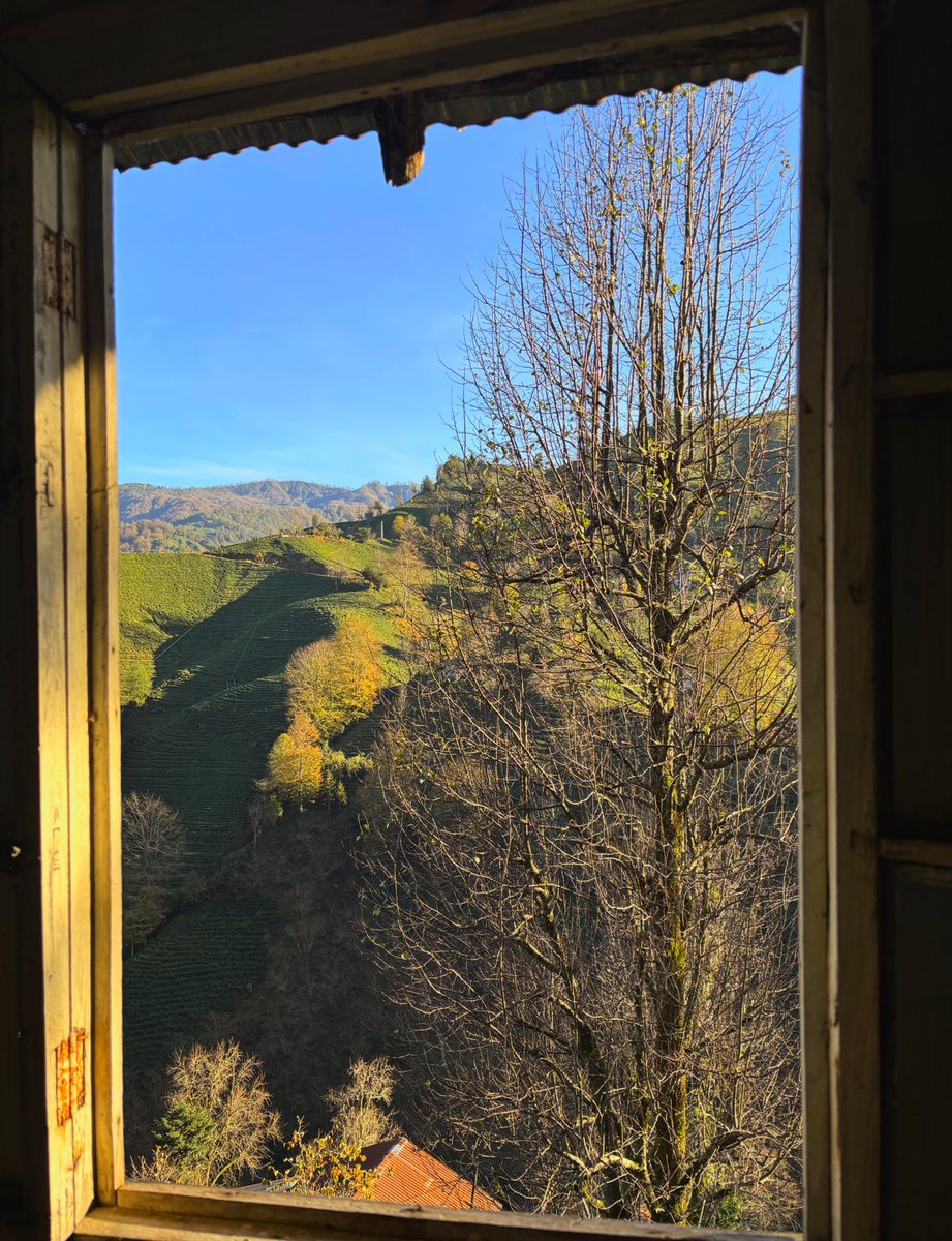 Karadenizde evlerde tabloya gerek yok