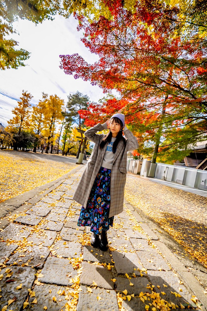 🍁

明日の午前中は
お散歩撮影会
楽しみ！！

モリマリコと散歩したい方はご連絡下さい