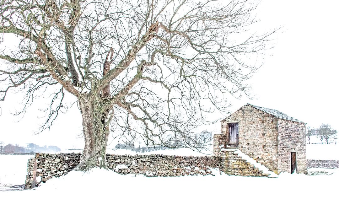 visitnorthyork's tweet image. Ey up, morning! 🫡❄️