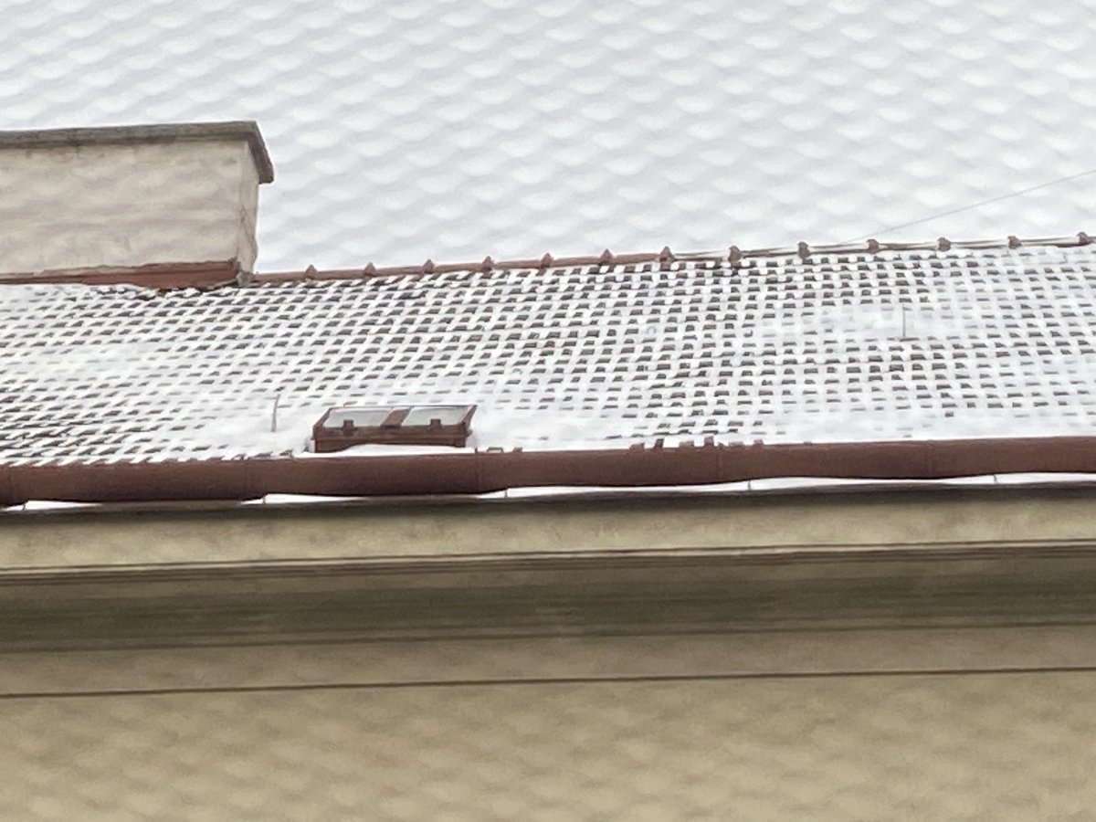 SyncroV2's tweet image. IT SNOWED LAST NIGHT IN VIENNA!! But the Osiris doesn’t care… 

🟣Twitch.tv/Syncro
🔴YouTube.com/Syncrov2