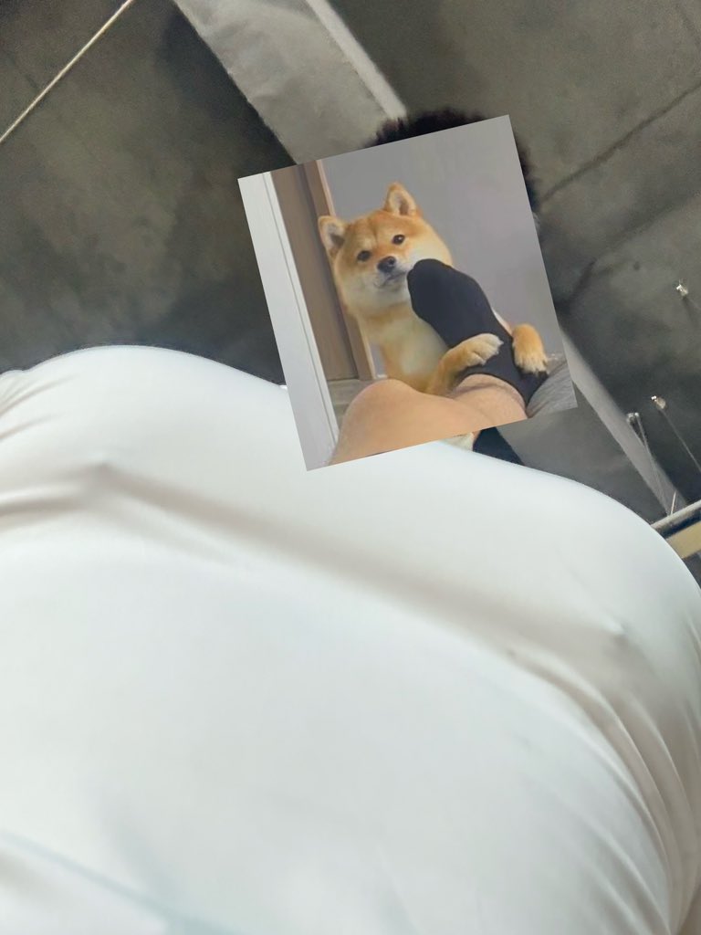 林二猪 tweet media