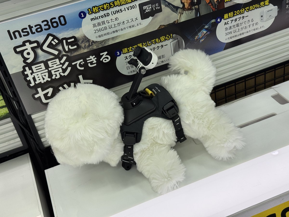 polarization_yu's tweet image. 🤔