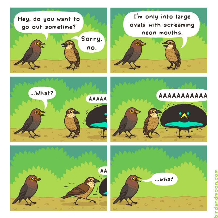 Blague du matin 🙂