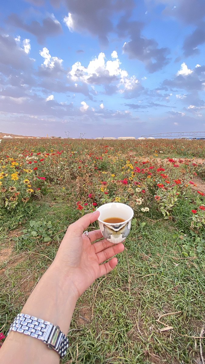 ARYAM_ALRADA's tweet photo. يالضحكة اللي في متاهاتي ضوت 
دونك بقايا ورد أو مدري وريد 

مثل الزهور قْلوبنا مهما ذوت 
يبقى شفيف إحساسها حيّ وجديد https://t.co/Y7DXobn5cr