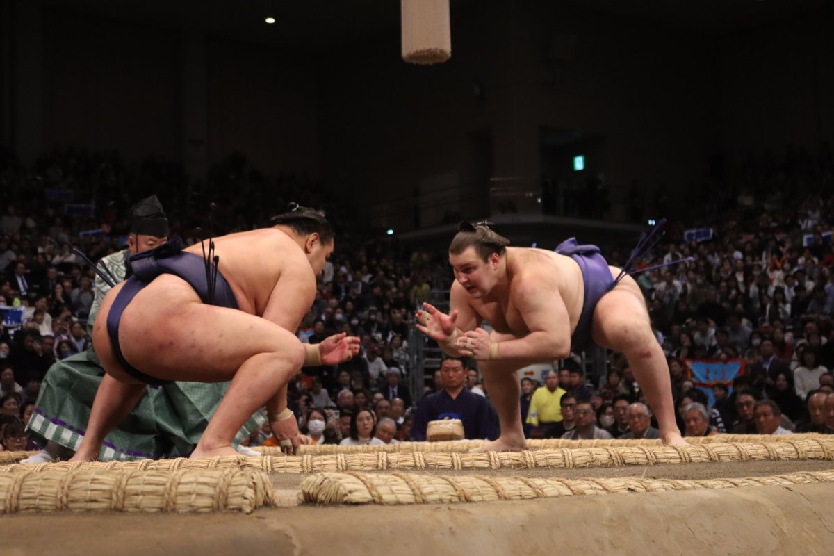 sumokyokai's tweet image. ＜安青錦初優勝！＞

優勝決定戦で豊昇龍に勝ち、１２勝３敗で初優勝を決めました。

#sumo #相撲 #十一月場所 #九州場所 ＃安青錦