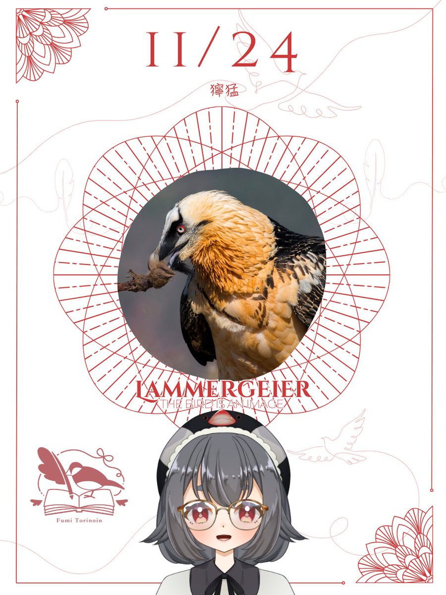 文鳥Vtuberちゅん太様希望4点 鳴潮】 ㊗Ver2.8🌟千咲完凸最速ガチャいくぞ！！早く会いたいよ