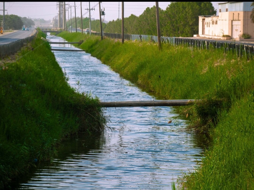 من #انهار #وعيون #الأحساء 
×××××××××××××××××××××
ذكرت هذه #الوثيقة الأحسائية المؤرخة في حدود (١١٠٠)هجري،أحد #عيون #وانهار #الأحساء واسمه :نهر الرفيع وتابعه من #عين #الثعالب وتقع عين #الثعالب على بعد أمتار من عين #اللومي إلى الغرب منها بجوار عين برابر