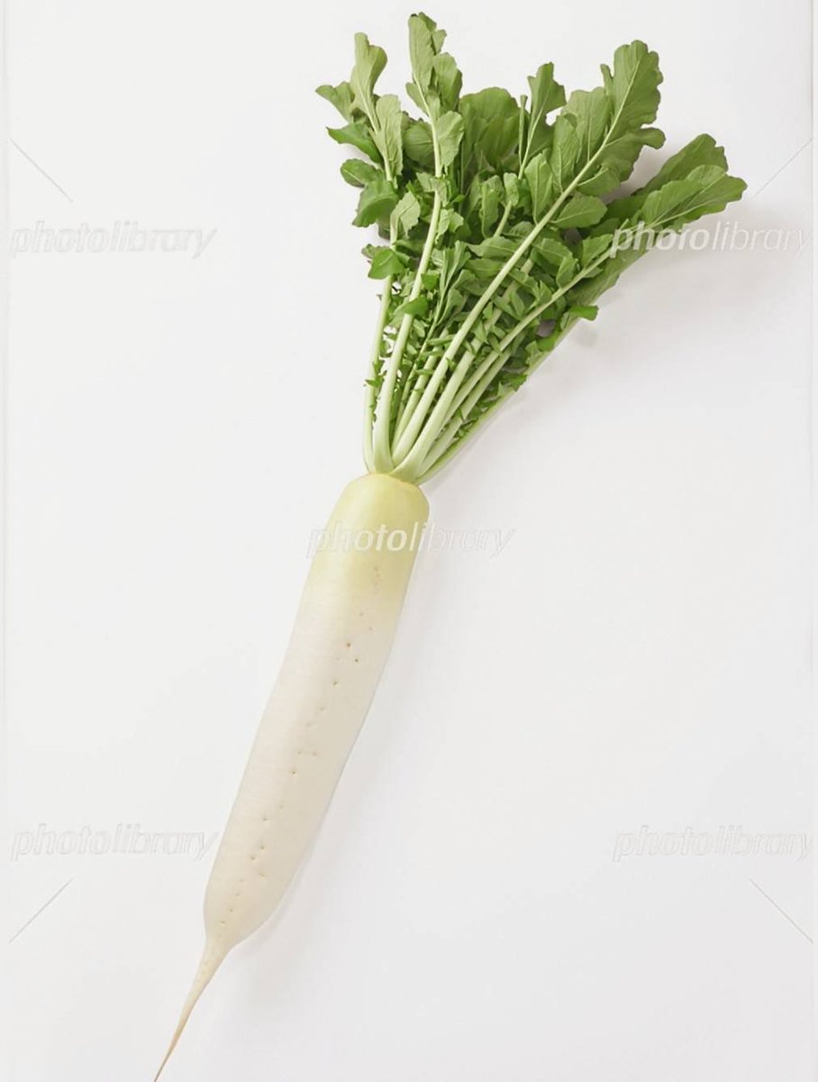 saikorokorok's tweet image. #大根

葉付きの大根を見たことありますか？
ウチの近くに農家さんがあり、規格外の新鮮な商品を格安で売ってくれます。
葉付きを買う人と落としてもらう人がいますが、葉には重要な栄養素がたくさん含まれています。
そのエビデンスをAIに解析させました。
私は葉だけをタダでもらう事も多いです。