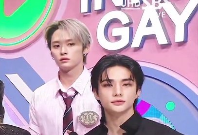 lilquokkie's tweet image. this is a perfect camera zoom actually 🏳️‍🌈