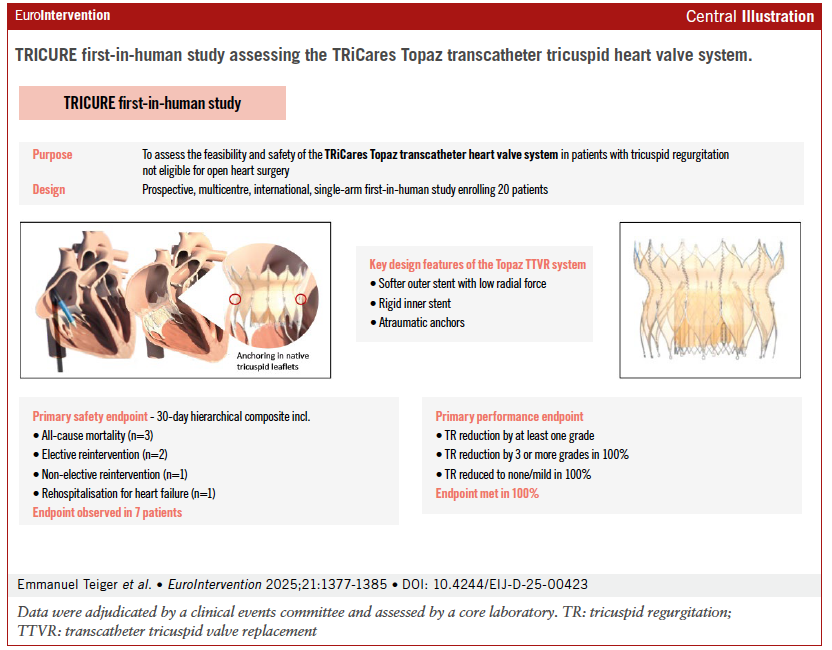 EuroInterventio's tweet image. Early results from the TRICURE FIH study show that the Topaz TTVR system achieved complete TR elimination, with all patients reaching none/mild TR at 30 days and 100% device success. A step forward for TTVR in high-risk TR patients. 
@PatrizioLancel2  
@LeopoldOliver86…