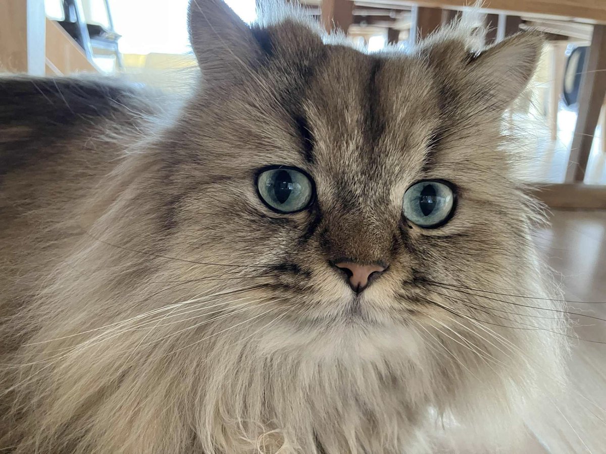 天宮玲桜さん ブレスレット メダイ 天宮玲桜さん ブレスレット メダイ