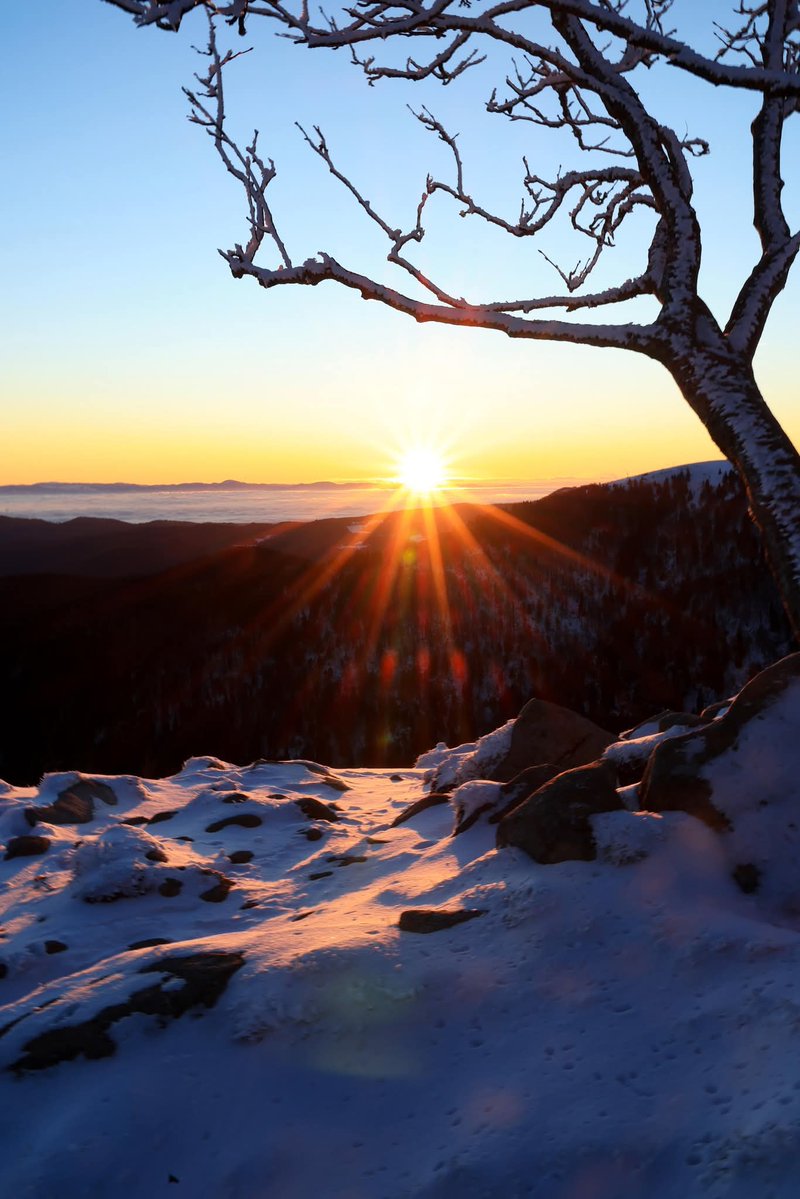 EdithPY2's tweet image. Lever de soleil sur les crêtes vosgiennes. Bon dimanche, dans les #HautesVosges ou ailleurs