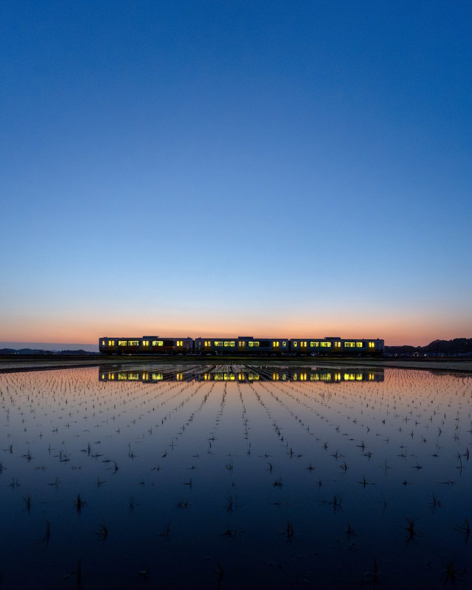 ポムの蒼。(ポムノアオ) tweet media