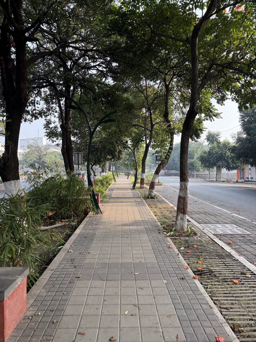 Arpita Majumder tweet media