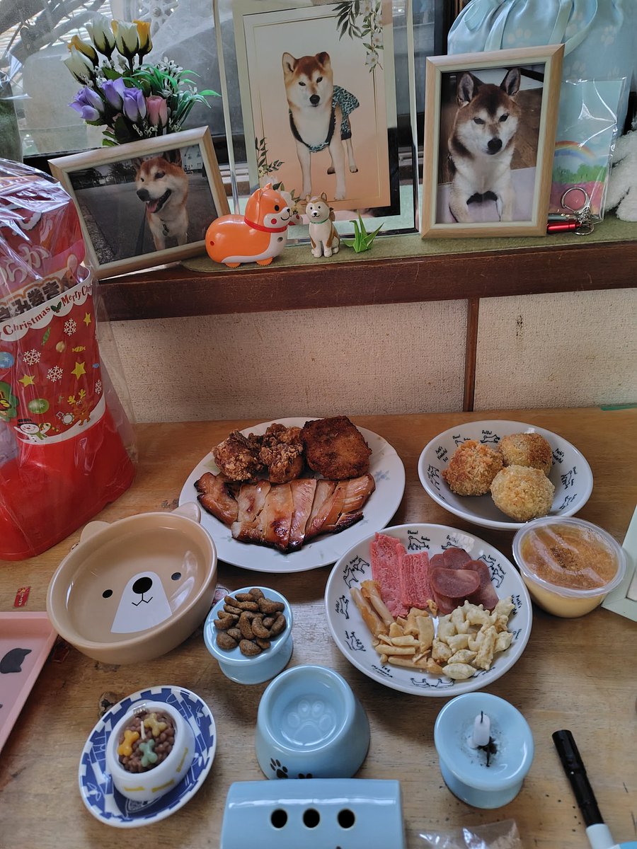 今日はわさび君の命日でした。
あっという間に1年‥今日はわさび君が帰ってきてお腹空かないように好物を準備しときました。
（いつ帰ってきてもいいよ😁）

形は見えなくても心は絶対に永遠に繋がってるのを信じてます。

#命日
#柴犬のいる生活