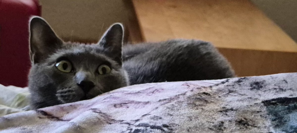 Bon dia🌞🌞🌞🥰🥰🥰☕️☕️