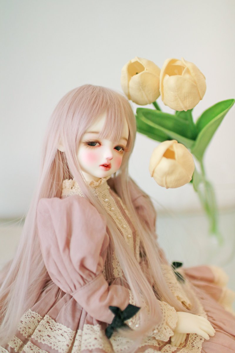 yellow_FLR_bjd's tweet image. 꽃 옆에 꽃💛

(루츠 로맨스하나엘_벨로)