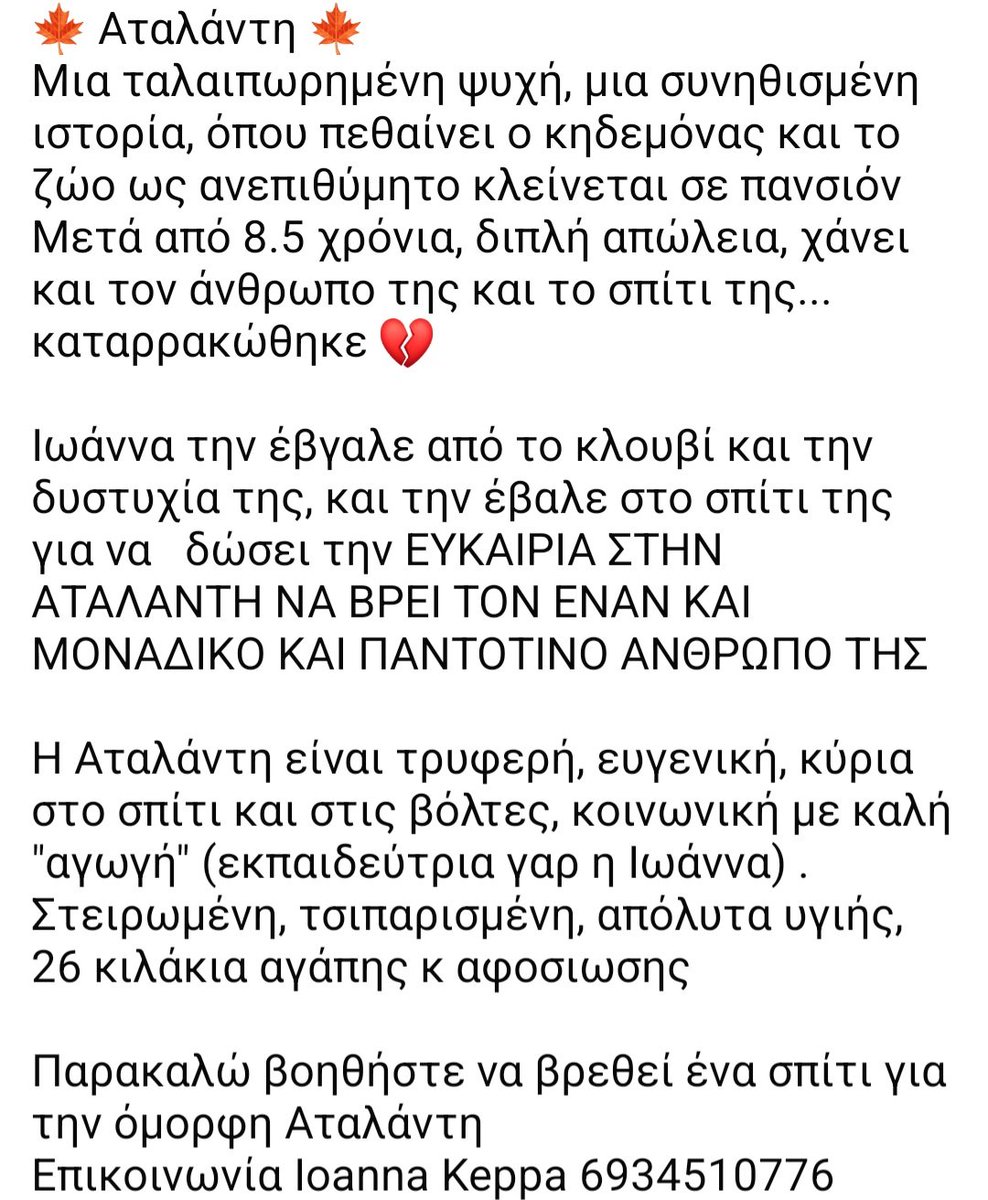 KatKatPt's tweet image. 🆘️🆘️🆘️
Αταλάντη μια ταλαιπωρημενη ψυχή οπου πεθαίνει ο κηδεμόνας της κ ως ανεπιθύμητο κλείνεται σε πανσιόν
Μετα απο 8.5 χρόνια χάνει κ τον άνθρωπο κ το σπίτι της
Ένα τρυφερό,ευγενικό σκυλάκι,με τσιπ,στειρωμενη,26 κιλά
Ένας άνθρωπος για εκείνη;
Rt 🙏 🙏 🙏
