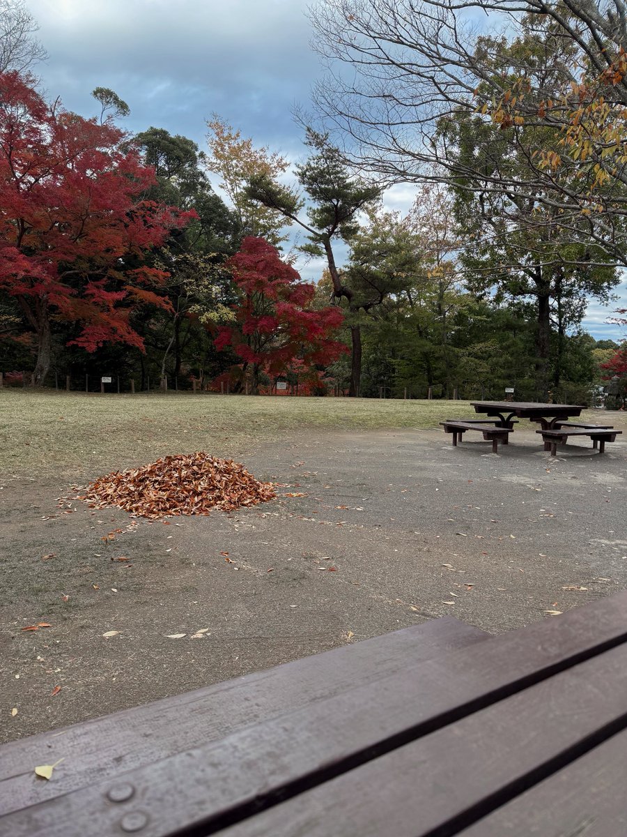 __drowning___'s tweet photo. ここ好き。 https://t.co/OI4KbZwOoG