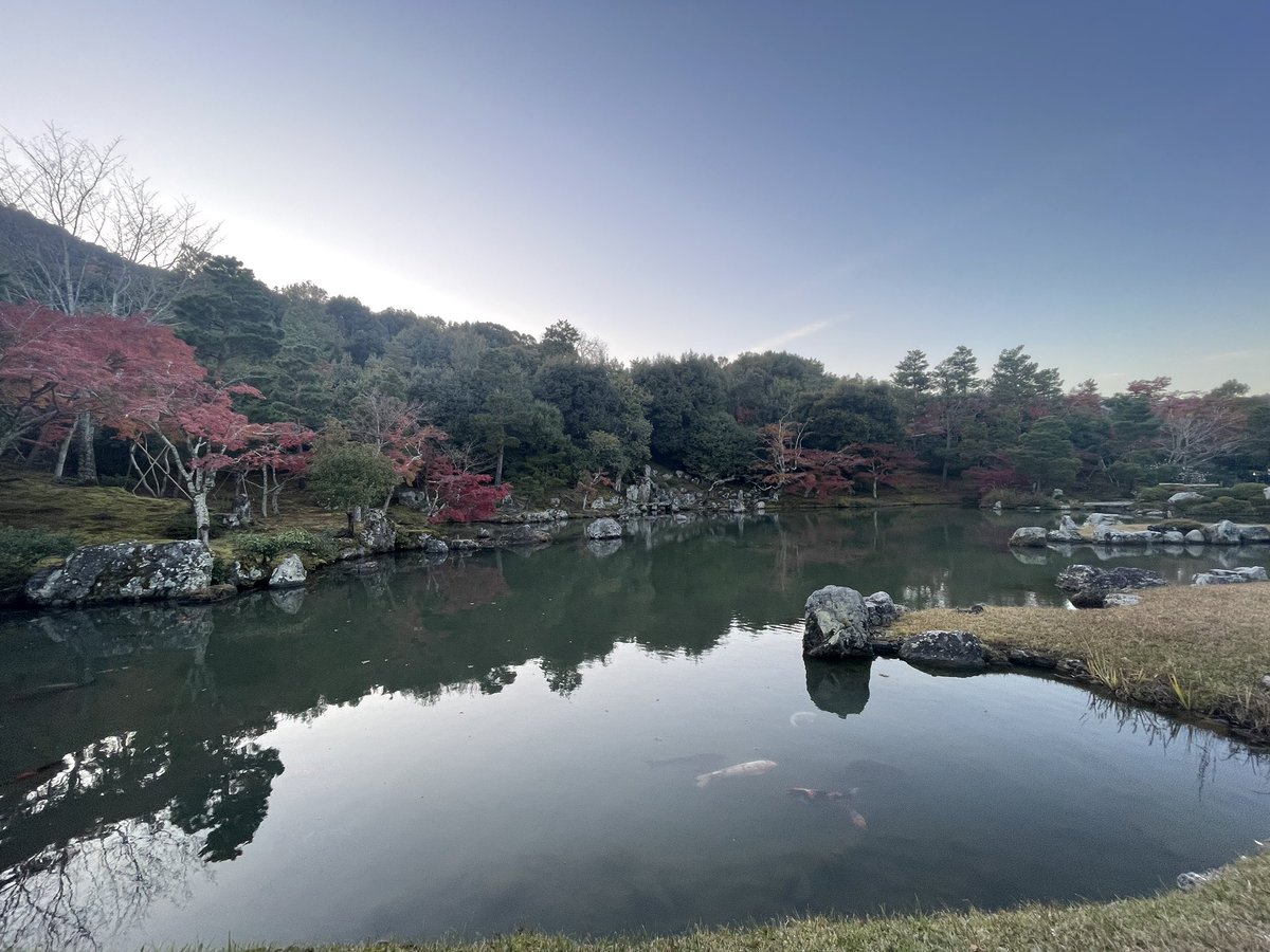 okgm1025's tweet photo. ｻﾌﾞｲｯｽ https://t.co/pqzCrvwRhh