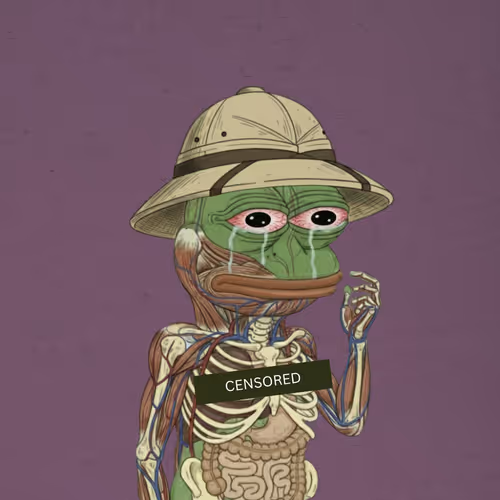 Fartinu84 purchased The Anatomy of Pepe #1172 via @opensea tx on