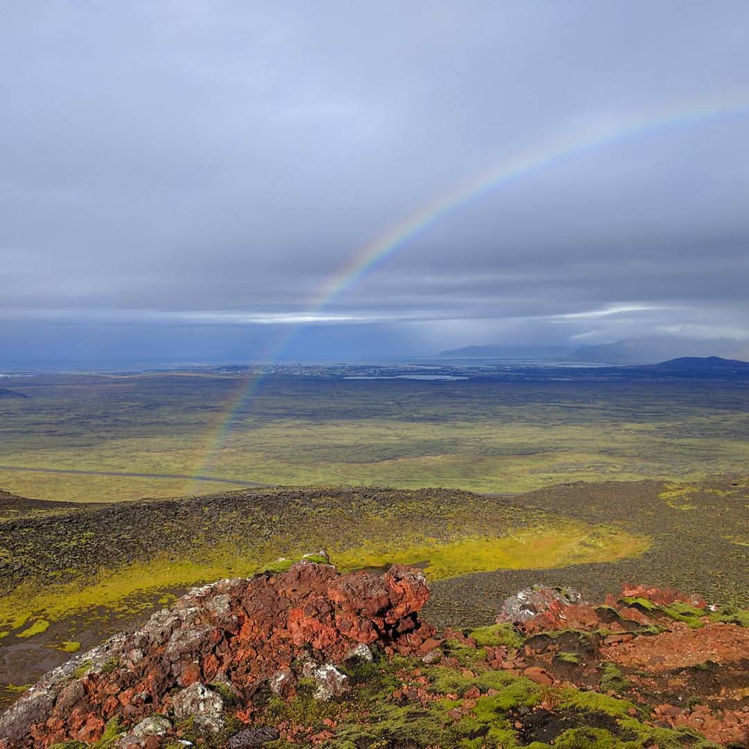 Linda Sandvik tweet media