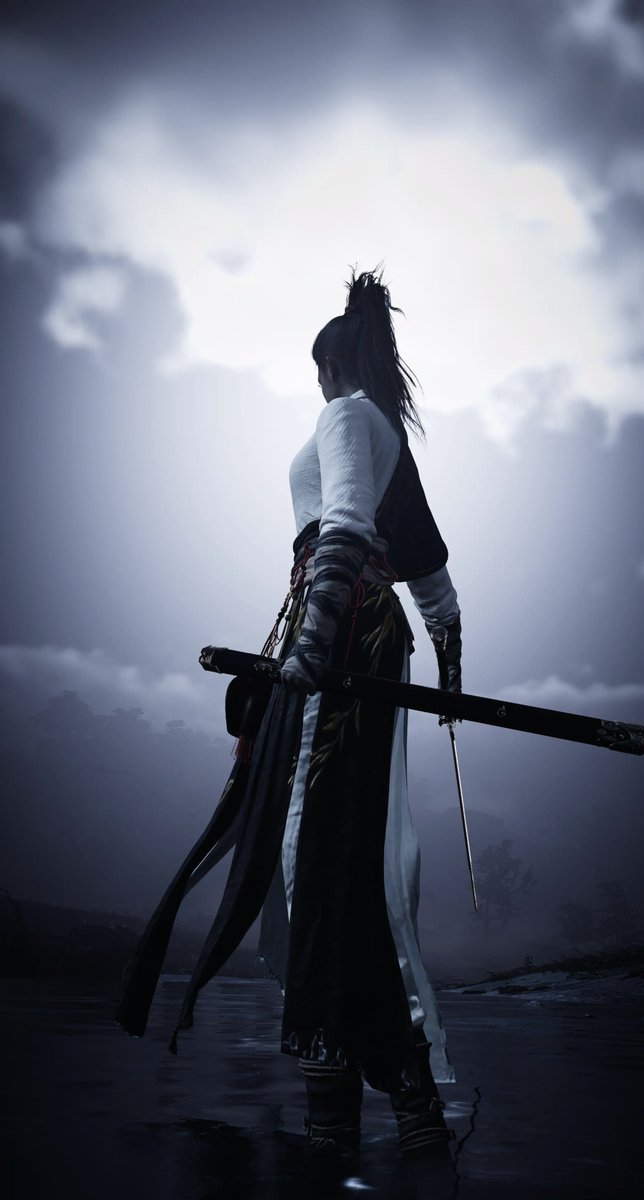 Spartans_VP's tweet image. Where winds meet
#WhereWindsMeet #TPMLights