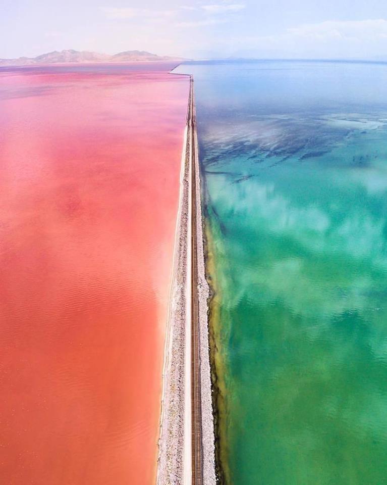 Une route sépare deux portions du Great Salt Lake, en Utah. Les différentes couleurs sont dues à des populations de #bactéries différentes

Source et crédits :
reddit.com/r/NatureIsFuck…

#Biologie #Biology #SVT #microbiology #microbiologie #bacteria #nature #naturelovers