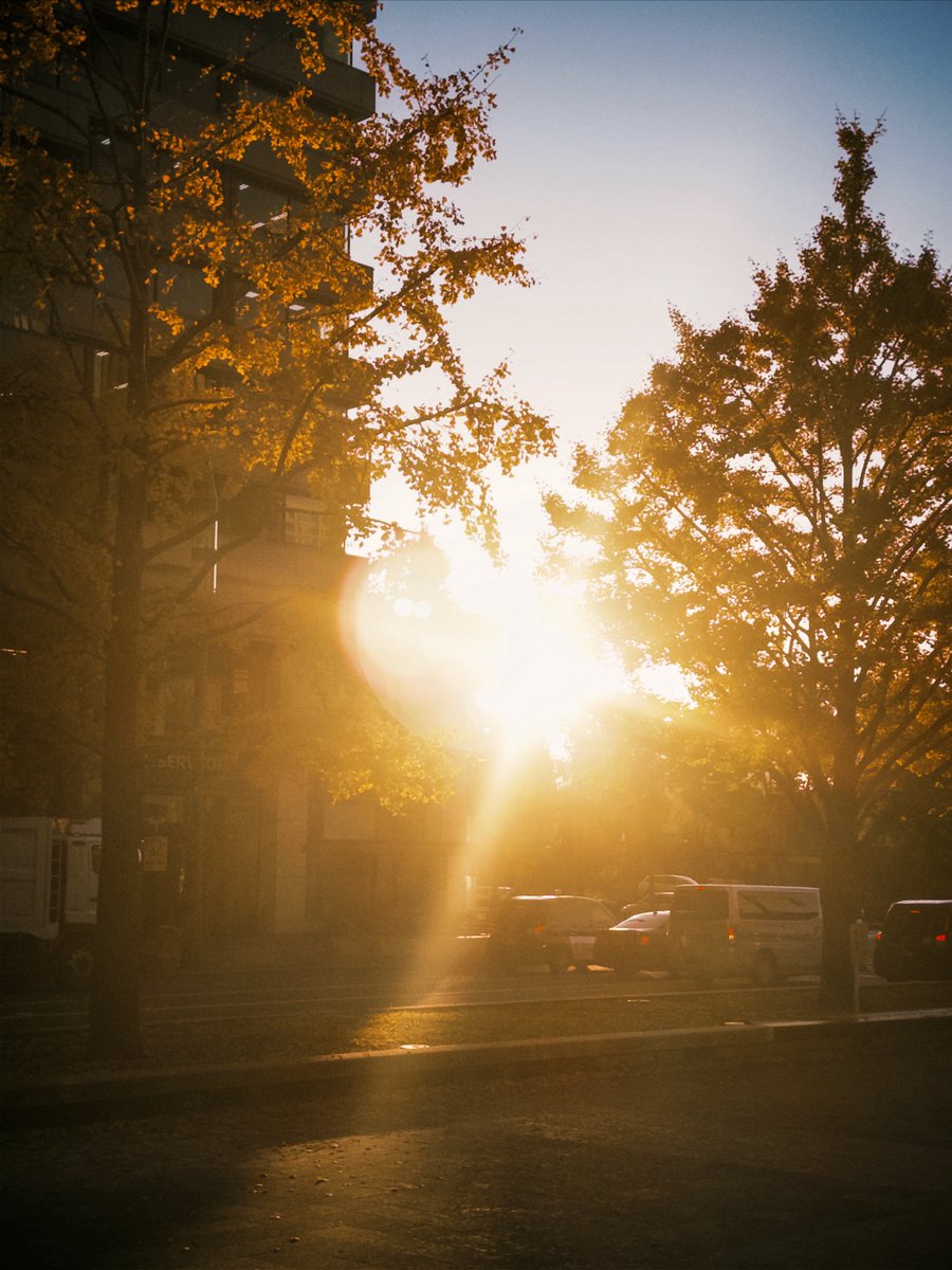 nob (@novy_jp) on Twitter photo 