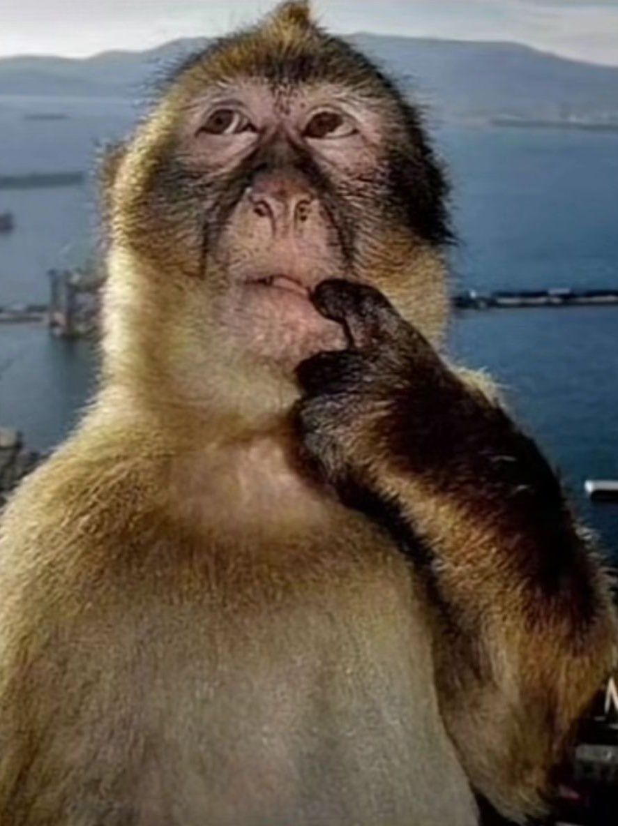 2 seconds left she knew she had to CLOCK IN

 #고원 #Gowon