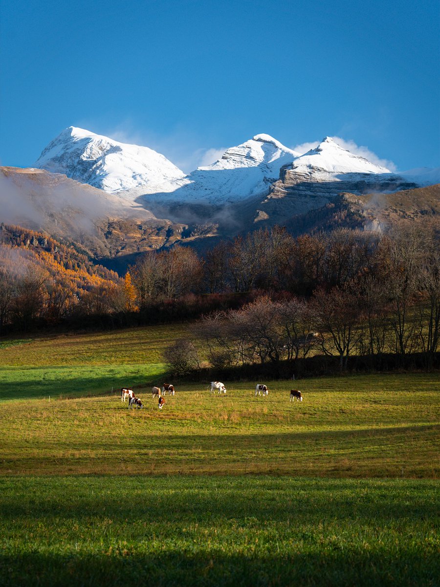 L'automne rayonne sur la vallée du Champsaur et ses sommets enneigés  🍂

 📍 Buissard (05)
 📸 champsaur_valgo